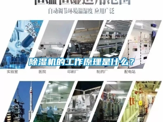 企業(yè)新聞除濕機(jī)的工作原理是什么？
