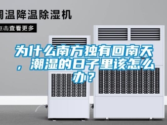 常見問題為什么南方獨有回南天，潮濕的日子里該怎么辦？