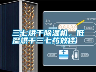 知識百科三七烘干除濕機，低溫烘干三七藥效佳