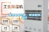 罐頭食品倉儲(chǔ)，除濕機(jī)幫您忙