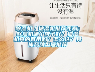企業(yè)新聞除濕機／抽濕機推薦評測：除濕機哪個牌子好？抽濕機真的有用嗎？怎么選？具體品牌型號推薦