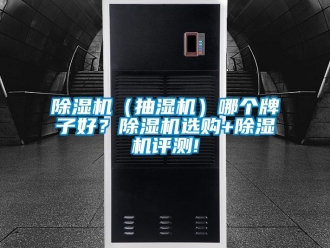 企業(yè)新聞除濕機（抽濕機）哪個牌子好？除濕機選購+除濕機評測!