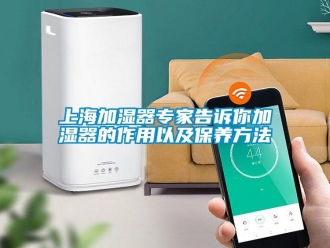 知識(shí)百科上海加濕器專(zhuān)家告訴你加濕器的作用以及保養(yǎng)方法
