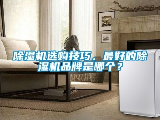 企業(yè)新聞除濕機(jī)選購(gòu)技巧，最好的除濕機(jī)品牌是哪個(gè)？