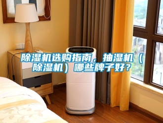 行業(yè)新聞除濕機(jī)選購指南，抽濕機(jī)（除濕機(jī)）哪些牌子好？