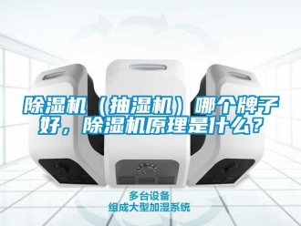 企業(yè)新聞除濕機（抽濕機）哪個牌子好，除濕機原理是什么？
