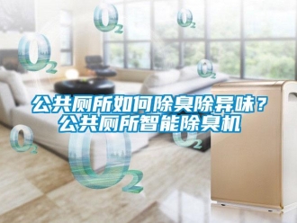 常見問題公共廁所如何除臭除異味？公共廁所智能除臭機