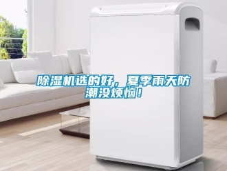 行業(yè)新聞除濕機選的好，夏季雨天防潮沒煩惱！