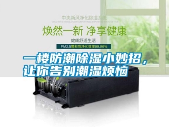 知識百科一樓防潮除濕小妙招，讓你告別潮濕煩惱