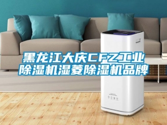 常見(jiàn)問(wèn)題黑龍江大慶CFZ工業(yè)除濕機(jī)濕菱除濕機(jī)品牌
