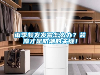 常見問題雨季頻發(fā)發(fā)霉怎么辦？裝修才是防潮的關鍵！