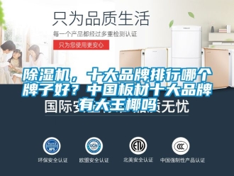 企業(yè)新聞除濕機(jī)，十大品牌排行哪個牌子好？中國板材十大品牌有大王椰嗎