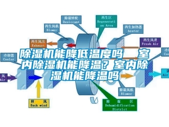 行業(yè)新聞除濕機(jī)能降低溫度嗎  室內(nèi)除濕機(jī)能降溫？室內(nèi)除濕機(jī)能降溫嗎