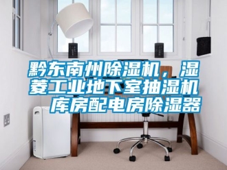 常見(jiàn)問(wèn)題黔東南州除濕機(jī)，濕菱工業(yè)地下室抽濕機(jī)  庫(kù)房配電房除濕器