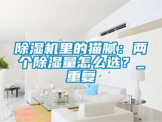 行業(yè)新聞除濕機里的貓膩：兩個除濕量怎么選？_重復