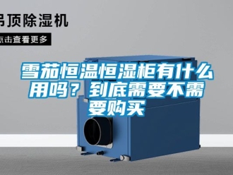 知識百科雪茄恒溫恒濕柜有什么用嗎？到底需要不需要購買