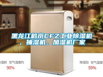 企業(yè)新聞黑龍江鶴崗CFZ工業(yè)除濕機，抽濕機、加濕機廠家
