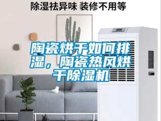 行業(yè)新聞陶瓷烘干如何排濕，陶瓷熱風(fēng)烘干除濕機