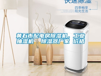 企業(yè)新聞黃石市配電房除濕機，工業(yè)抽濕機  除濕器廠家 價格