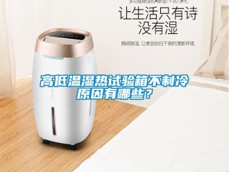 常見問題高低溫濕熱試驗(yàn)箱不制冷原因有哪些？
