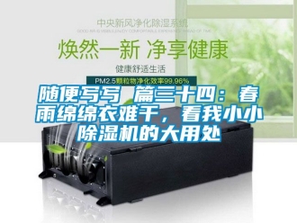 行業(yè)新聞隨便寫寫 篇三十四：春雨綿綿衣難干，看我小小除濕機的大用處