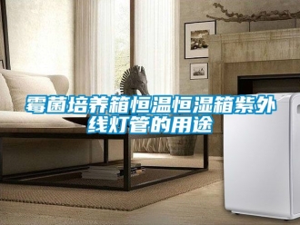 知識百科霉菌培養(yǎng)箱恒溫恒濕箱紫外線燈管的用途