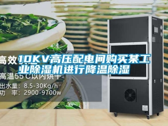 常見(jiàn)問(wèn)題10KV高壓配電間購(gòu)買(mǎi)某工業(yè)除濕機(jī)進(jìn)行降溫除濕