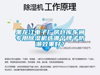企業(yè)新聞黑龍江電子廠房倉庫車間專用除濕機選哪個牌子防潮效果好？
