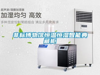知識百科非標(biāo)博物館恒溫恒濕智能典藏柜