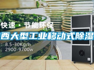 常見問題陜西大型工業(yè)移動式除濕機