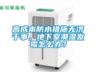 企業(yè)新聞高成本防水措施無濟于事，地下室潮濕發(fā)霉怎么辦？