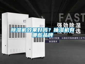 企業(yè)新聞除濕機效果好嗎？抽濕機有哪些品牌