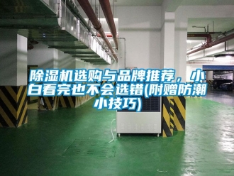 企業(yè)新聞除濕機(jī)選購(gòu)與品牌推薦，小白看完也不會(huì)選錯(cuò)(附贈(zèng)防潮小技巧)