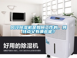 行業(yè)新聞風冷除濕機是如何工作的，其特點又有哪些呢？