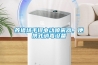 養(yǎng)豬場手提電動噴霧器，便攜式消毒設(shè)備