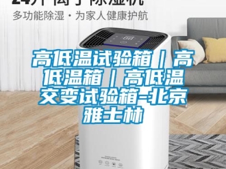 常見問題高低溫試驗(yàn)箱｜高低溫箱｜高低溫交變試驗(yàn)箱-北京雅士林
