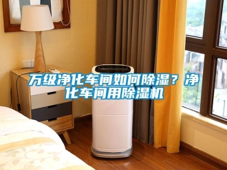 常見(jiàn)問(wèn)題萬(wàn)級(jí)凈化車(chē)間如何除濕？?jī)艋?chē)間用除濕機(jī)