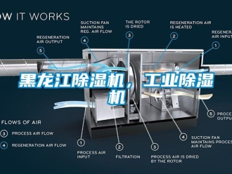 常見(jiàn)問(wèn)題黑龍江除濕機(jī)，工業(yè)除濕機(jī)