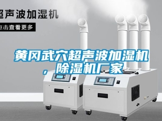 企業(yè)新聞黃岡武穴超聲波加濕機(jī)，除濕機(jī)廠家
