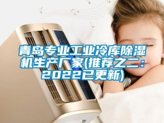 企業(yè)新聞青島專(zhuān)業(yè)工業(yè)冷庫(kù)除濕機(jī)生產(chǎn)廠(chǎng)家(推薦之二：2022已更新)