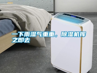 知識百科一下雨濕氣重重，除濕機揮之即去