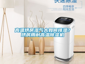 行業(yè)新聞高溫烘房濕氣大如何排濕？烘房用耐高溫除濕機(jī)