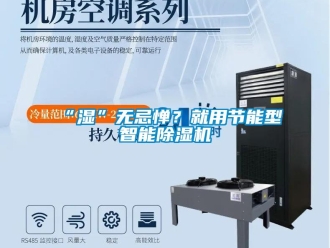 常見問題“濕”無忌憚？就用節(jié)能型智能除濕機