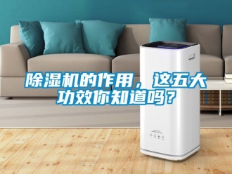 企業(yè)新聞除濕機的作用，這五大功效你知道嗎？