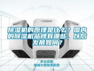 企業(yè)新聞除濕機(jī)的原理是什么？國(guó)內(nèi)的除濕機(jī)品牌有哪些，以后發(fā)展如何？