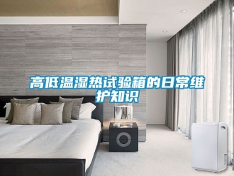 常見問題高低溫濕熱試驗(yàn)箱的日常維護(hù)知識