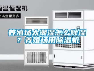 常見問題養(yǎng)殖場太潮濕怎么除濕？養(yǎng)殖場用除濕機