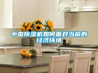 常見問題中國除濕機如何面對當前的經(jīng)濟環(huán)境