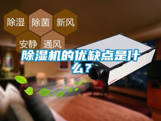 企業(yè)新聞除濕機的優(yōu)缺點是什么？