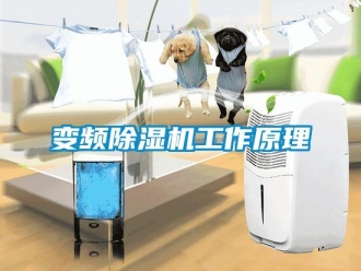 常見問題變頻除濕機工作原理